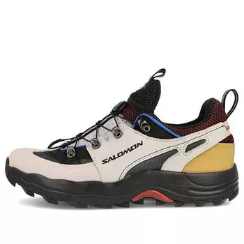 Кроссовки raid wind advanced 'grey' Salomon, серый