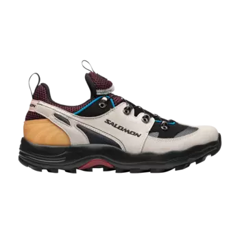 Кроссовки Raid Wind Advanced Salomon, серый