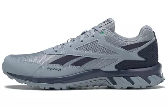 Кроссовки Reebok Ridgerider 5.0 'Meteor Grey'