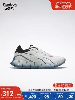 Кроссовки Reebok Zig Dynamica 4 для занятий спортом, серый