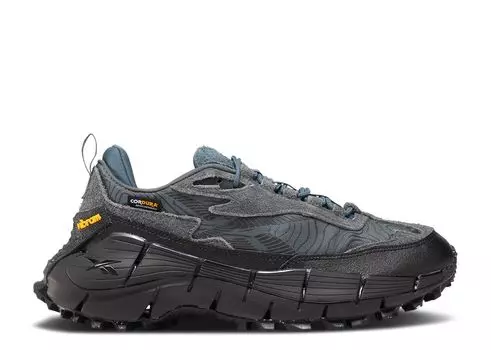 Кроссовки Reebok Zig Kinetica 2.5 Edge 'Pure Grey Hoops Blue', серый