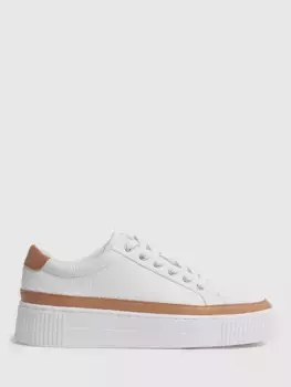 Кроссовки Reiss Leanne Leather Low Top, цвет camel/white