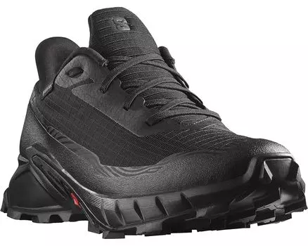 Кроссовки Salomon Alphacross 5 GTX, черный