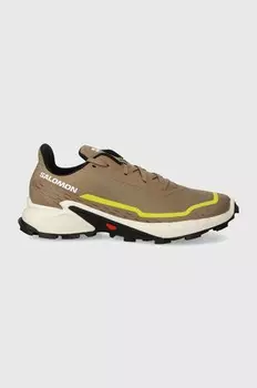 Кроссовки Salomon Alphacross 5, коричневый