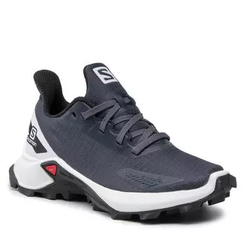 Кроссовки Salomon AlphacrossBlast J, серый