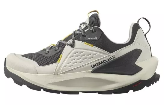 Кроссовки SALOMON Elixir для мужчин, Бежевый/Черный