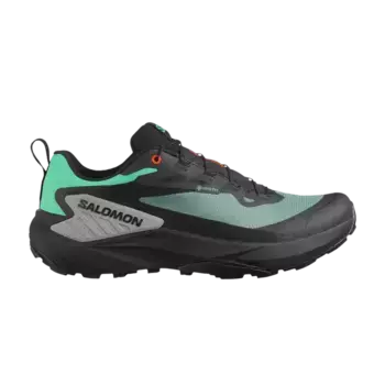 Кроссовки Salomon Genesis GORE-TEX North Atlantic, черный
