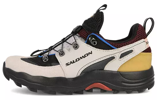 Кроссовки SALOMON Raid Wind Advanced 'Lunar Rock Wine Tasting'