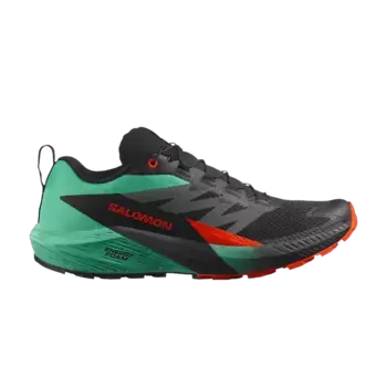 Кроссовки Salomon Sense Ride 5 Black Bay Cherry Tomato, черный