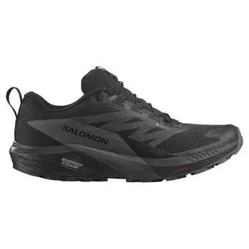 Кроссовки Salomon Sense Ride 5 Goretex Trail, черный