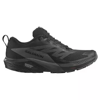 Кроссовки Salomon Sense Ride 5 Goretex Trail, черный