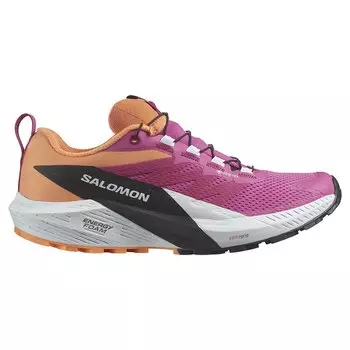 Кроссовки Salomon Sense Ride 5 Goretex Trail, Разноцветный