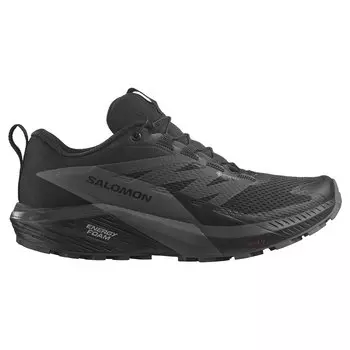 Кроссовки Salomon Sense Ride 5 Goretex Trail, черный