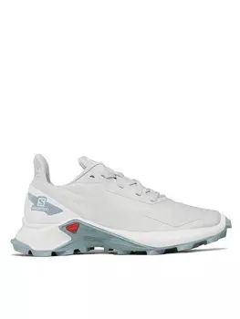 Кроссовки Salomon, серый