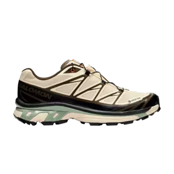 Кроссовки Salomon Sneakersnstuff x XT-6 GORE-TEX Almond Milk Seagrass, кремовый