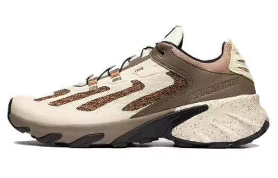 Кроссовки SALOMON Speedverse PRG 'Aloe Wash Sandstorm', серый