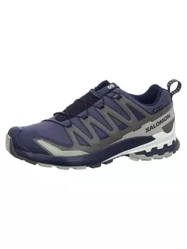 Кроссовки SALOMON Sport Schuhe XA PRO 3D V9 GTX, синий