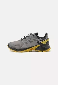 Кроссовки Salomon Supercross 4 Gtx, олово / черный