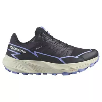 Кроссовки Salomon Thundercross Goretex Trail, синий