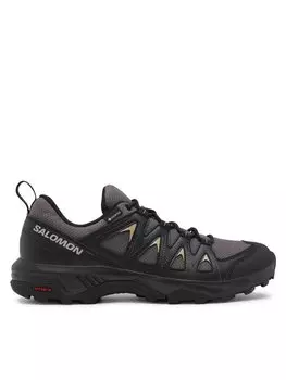 Кроссовки Salomon X Braze GORE-TEX, серый
