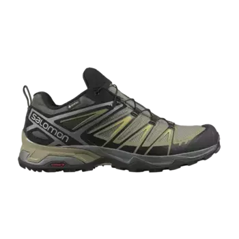 Кроссовки Salomon X Ultra 3 GORE-TEX 'Castor Grey Green Sulphur', серый