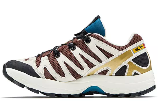 Кроссовки SALOMON XA Pro 1 Grape Chocolate Fondant