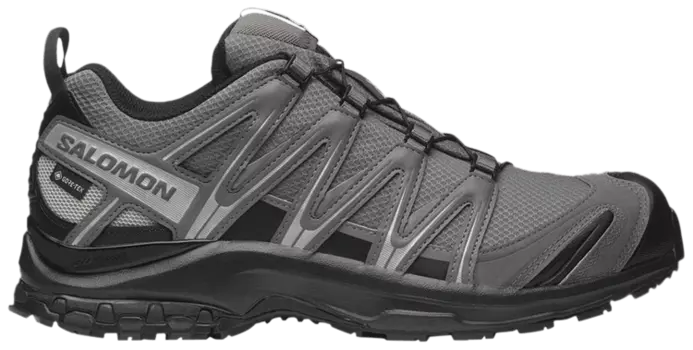 Кроссовки Salomon XA Pro 3D GORE-TEX 'Pewter Silver Cloud', серый