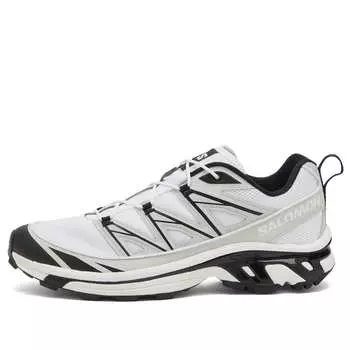 Кроссовки Salomon Xt-6 Expanse, цвет White, Metal & Black
