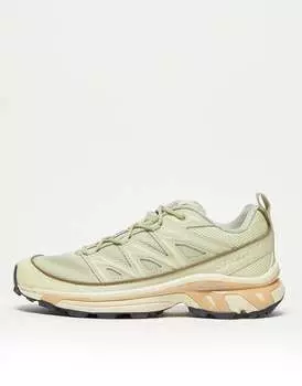 Кроссовки Salomon XT-6 Expanse из люцерны