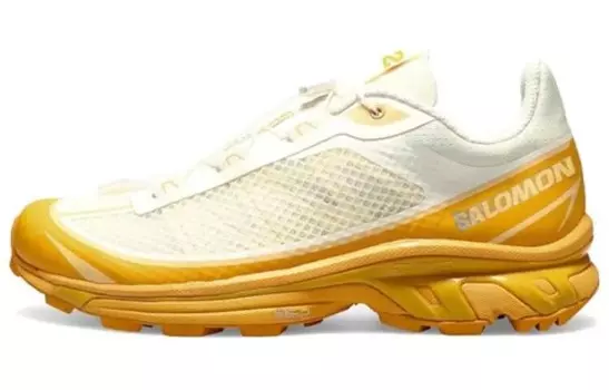 Кроссовки SALOMON XT-6 FT Vanilla Buckskin Ice Hazelnut