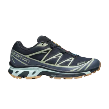 Кроссовки Salomon XT-6 GORE-TEX 'Carbon Desert Sage', серый