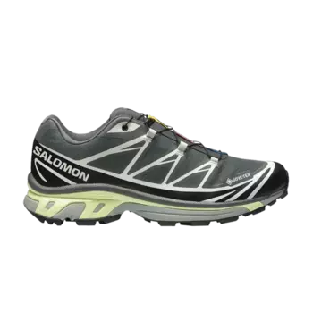 Кроссовки Salomon XT-6 GORE-TEX Urban Chic Lime Cream, серый