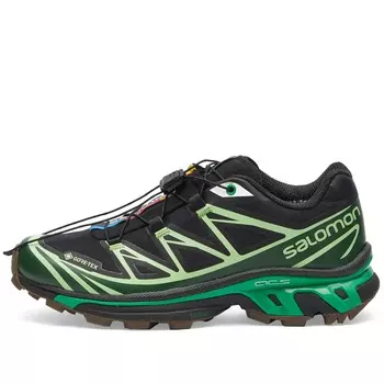Кроссовки Salomon XT-6 GTX, черный/зеленый