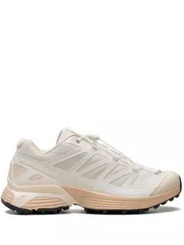 Кроссовки Salomon XT-Pathway "Bleached Sand/Hazelnut", серый