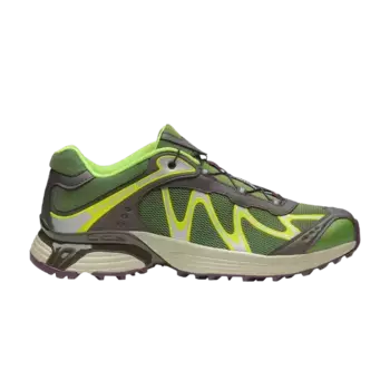 Кроссовки Salomon XT-Whisper Treetop, зеленый