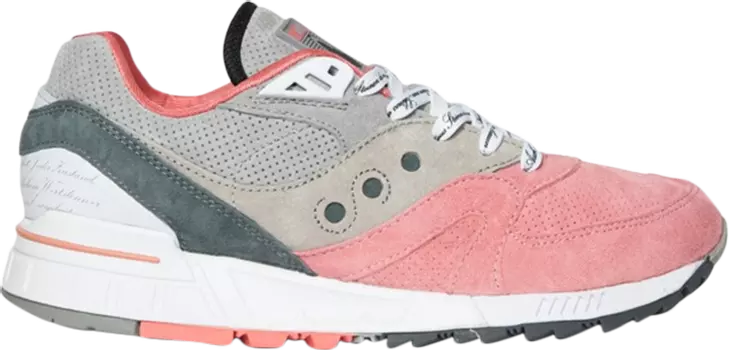 Кроссовки Saucony Afew x Shadow Master 5000 Goethe, серый