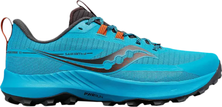 Кроссовки Saucony Peregrine 13 Agave Basalt, синий