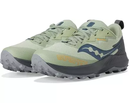 Кроссовки Saucony Peregrine 14 GTX, цвет Sage/Carbon