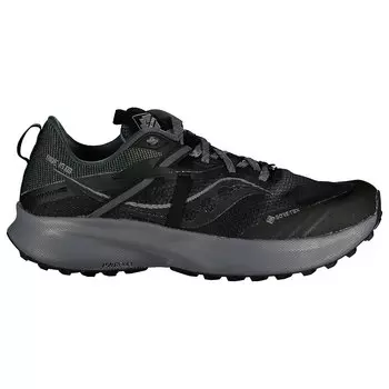 Кроссовки Saucony Ride 15 Goretex Trail, черный