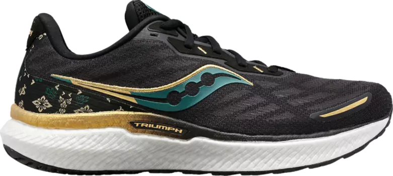 Кроссовки Saucony Triumph Tokyo Amulet, черный
