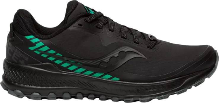 Кроссовки Saucony Wmns Peregrine ICE+ Black Jade, черный