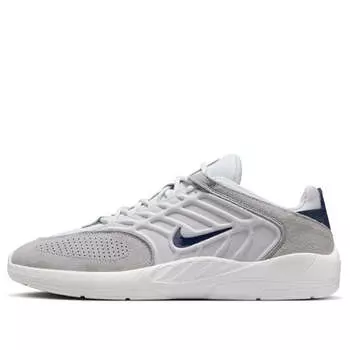 Кроссовки sb vertebrae 'platinum tinty navy' Nike, мультиколор