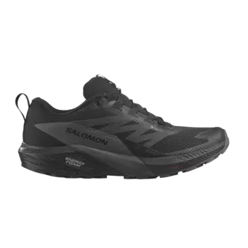 Кроссовки Sense Ride 5 GORE-TEX Salomon, черный