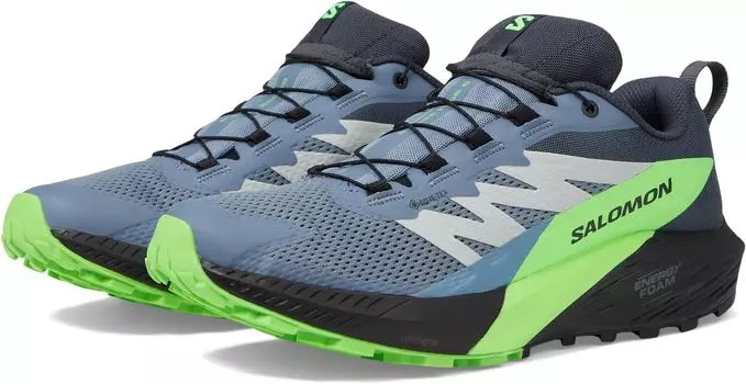 Кроссовки Sense Ride 5 GORE-TEX Salomon, цвет Flint Stone/Black/Green Gecko