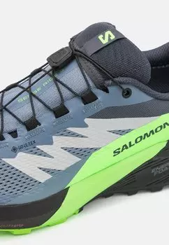 Кроссовки SENSE RIDE 5 GTX Salomon, черный