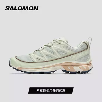 Кроссовки сетчатые Salomon XT-6 Expanse, серо-коричневый