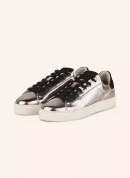 Кроссовки shana Allsaints, серебряный
