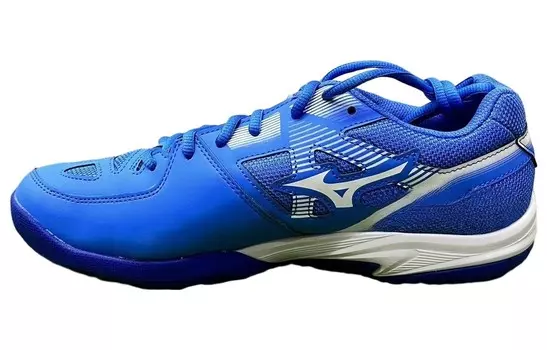 Кроссовки SKY Badminton Unisex Low-top Белый/Королевский синий/Папоротниково-зеленый Mizuno