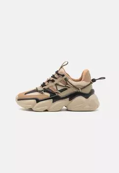 Кроссовки Spectator Steve Madden, хаки