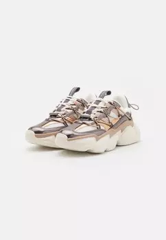 Кроссовки SPECTATOR Steve Madden, мультиколор